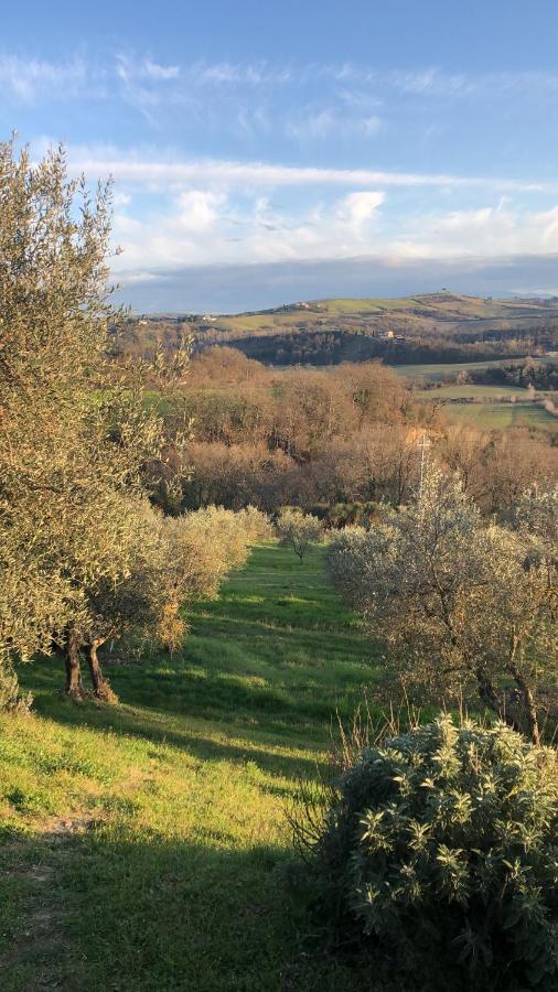 Il Capanno Villa Asciano Dış mekan fotoğraf